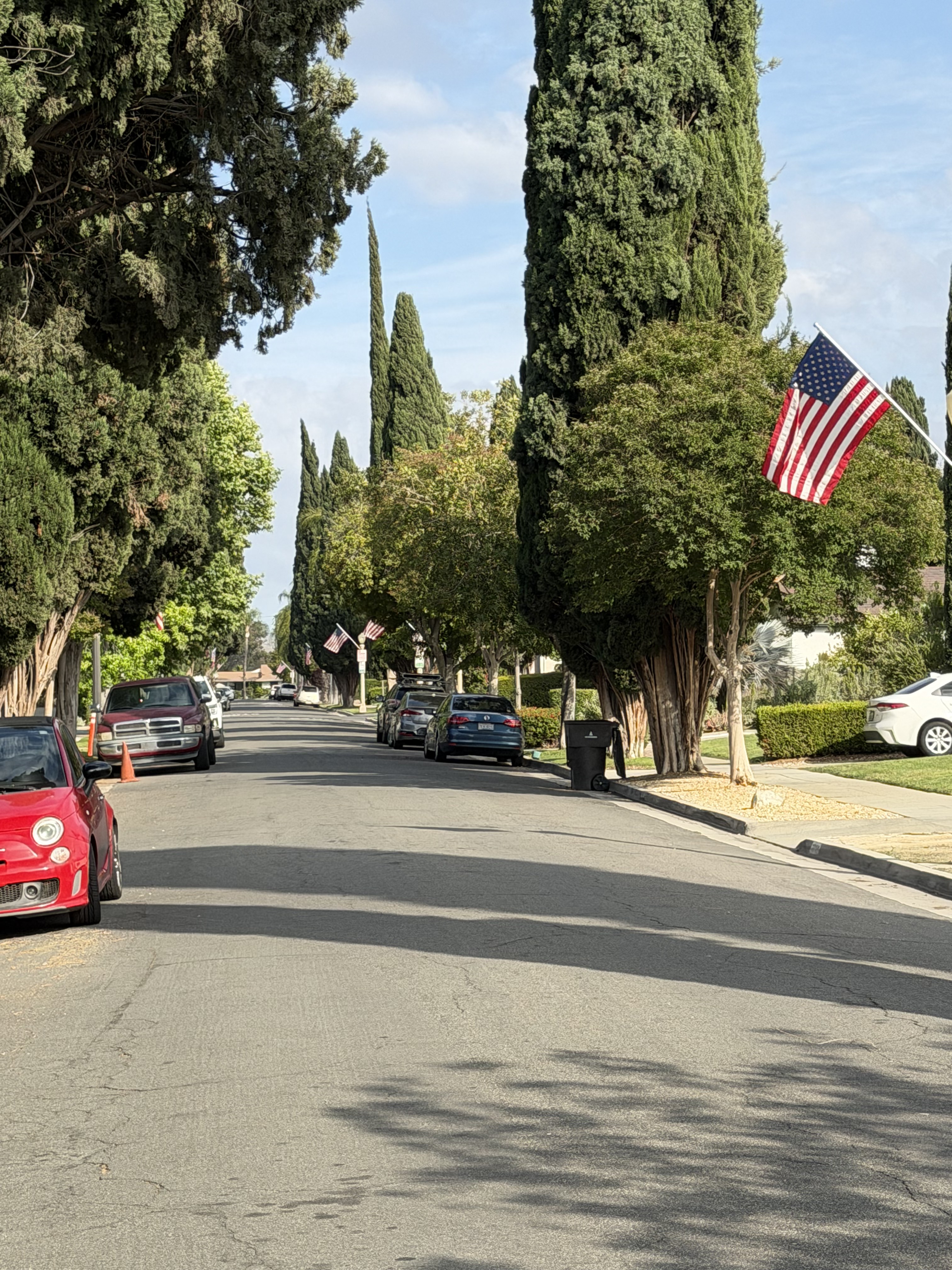 Cypress-lined street with an American flag in Wood Streets